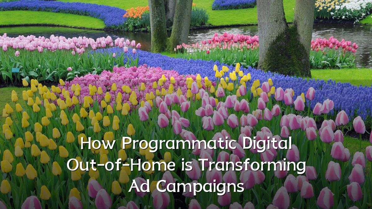 How Programmatic Digital Out-of-Home is Transforming Ad Campaigns