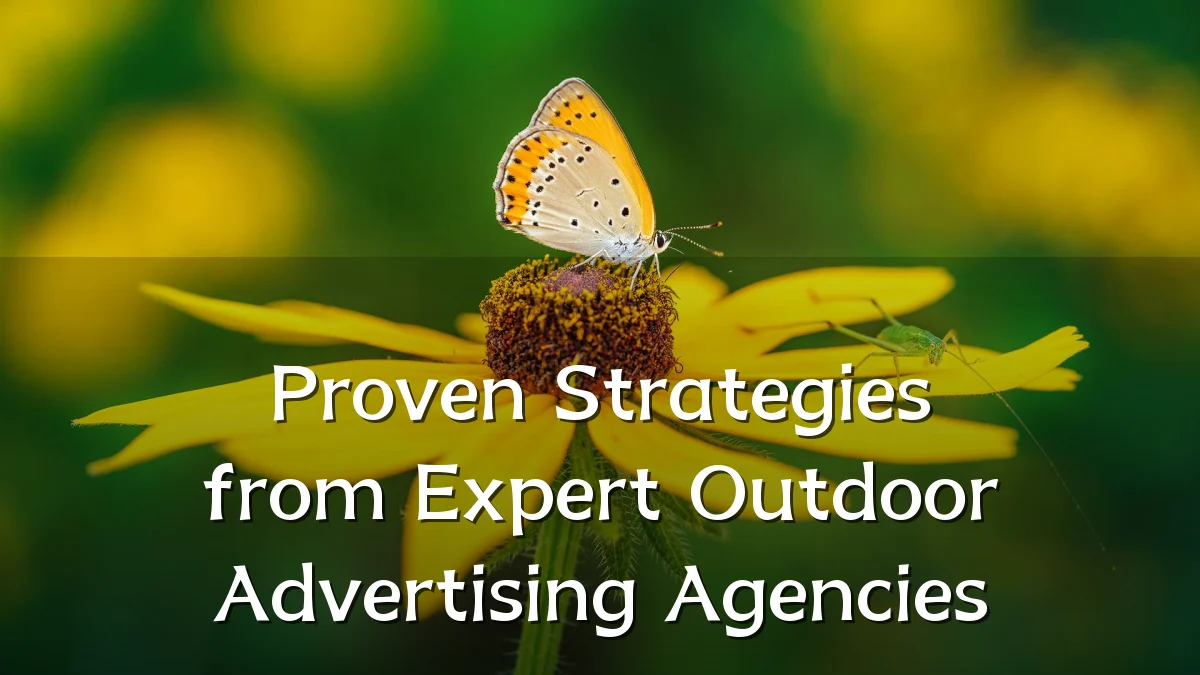 Proven Strategies from Expert Outdoor Advertising Agencies