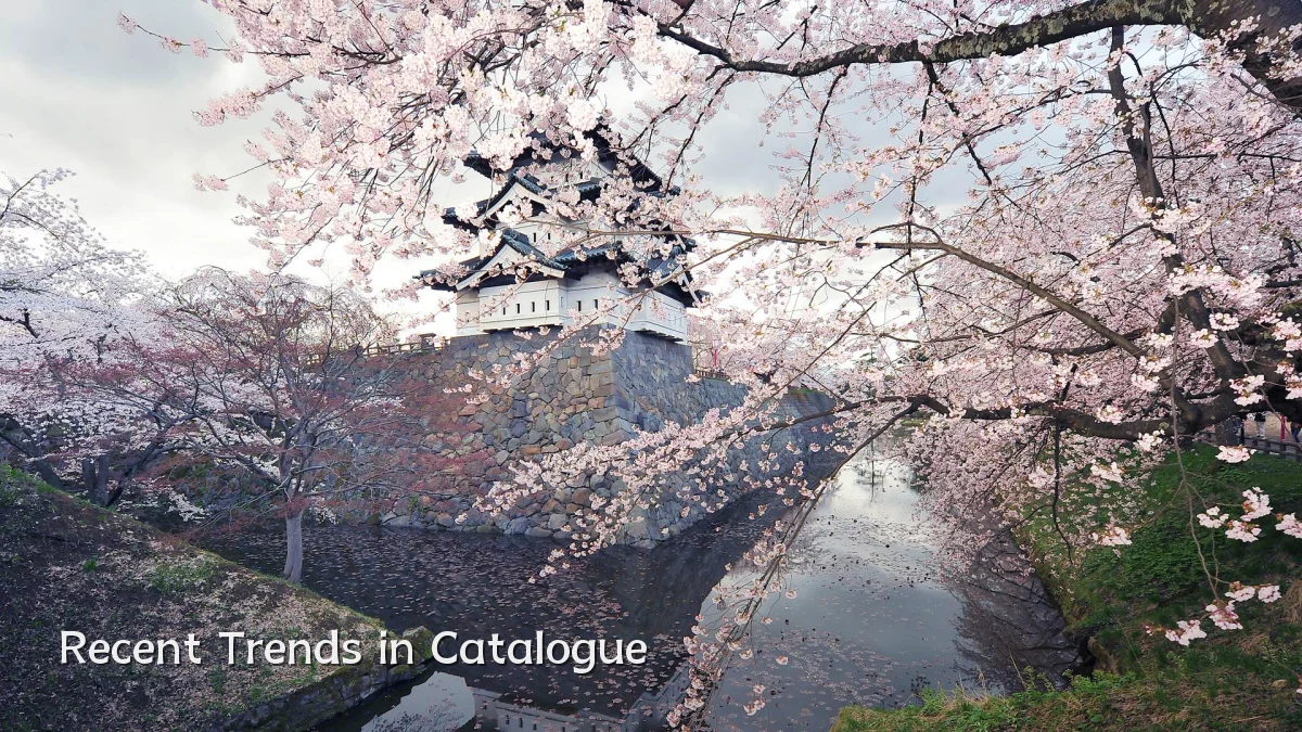 Recent Trends in Catalogue